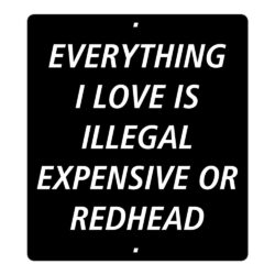 EVERYTHING I LOVE IS ILLEGAL EXPENSIVE OR REDHEAD Sticker