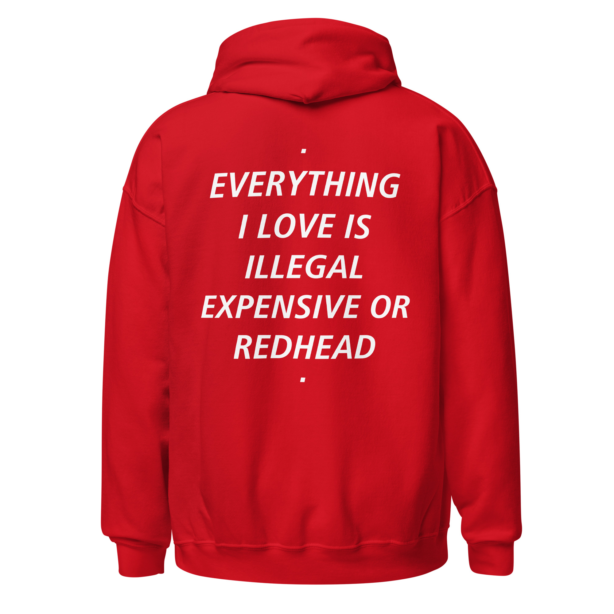 EVERYTHING I LOVE IS ILLEGAL EXPENSIVE OR REDHEAD Hoodie - Image 7