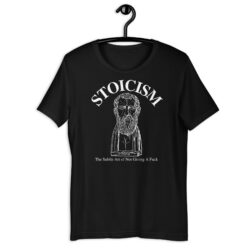 Alternative view of STOICISM The Subtle Art of Not Giving A Fuck - Zeno of Citium T-Shirt