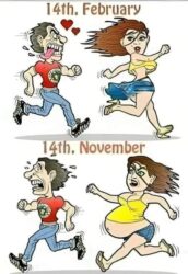 14th February vs 14th November