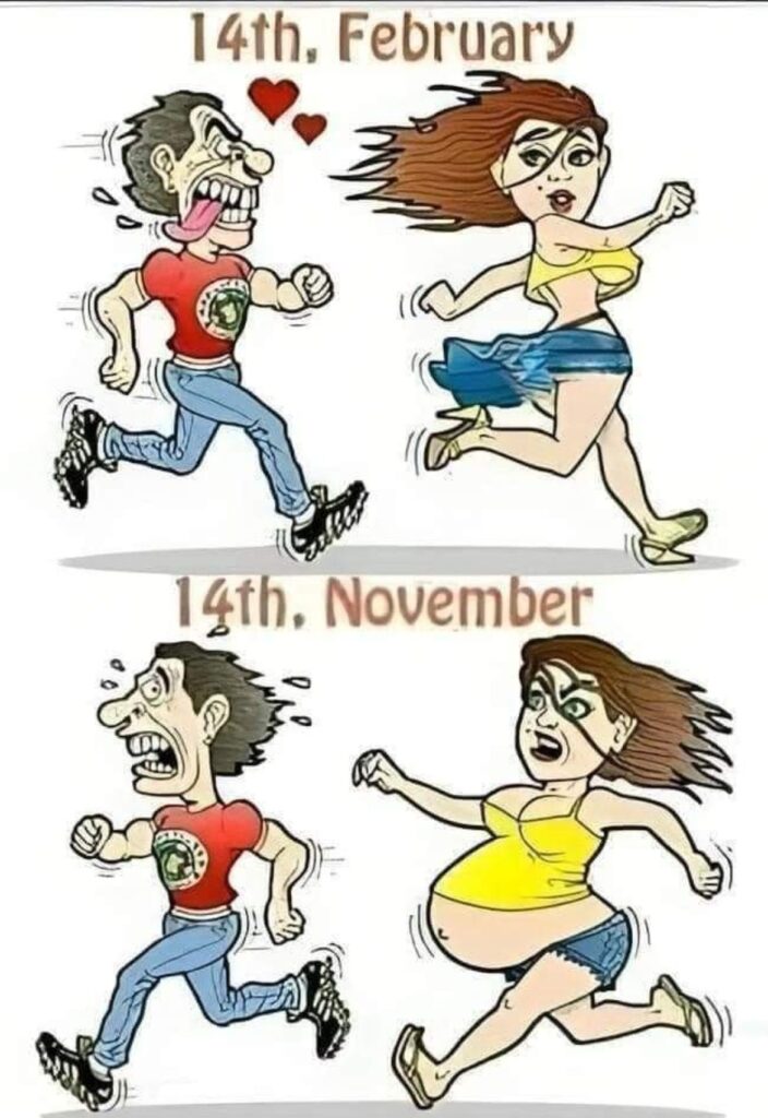 14th February vs 14th November