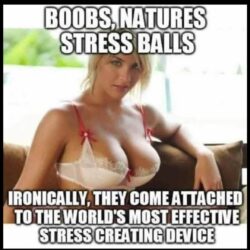 BOOBS are nature's stress balls