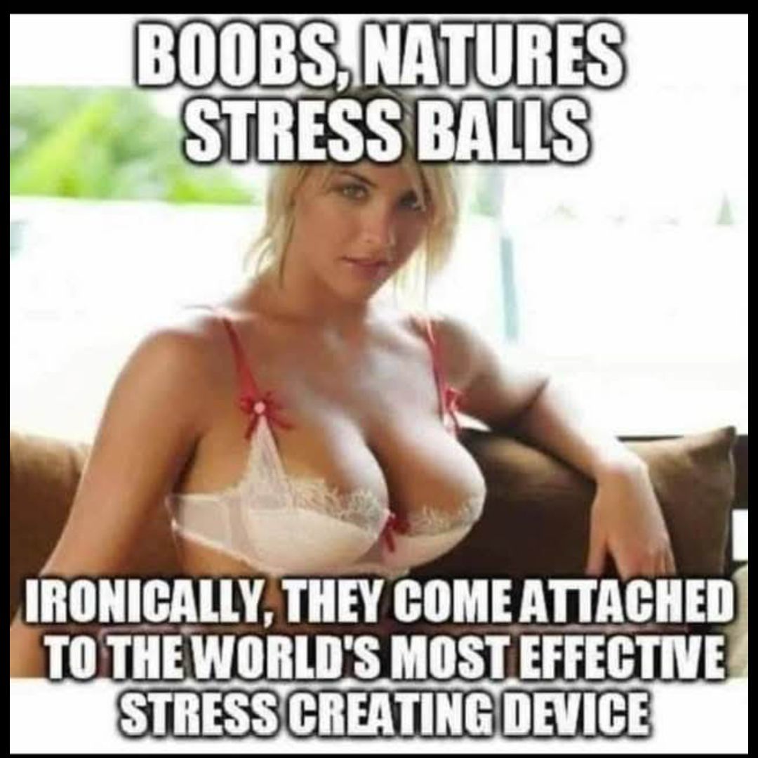 BOOBS are nature's stress balls