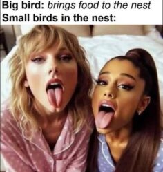 Big bird_ Brings food to the nest Small birds in the nest_ Taylor Swift + Arianna Grande open-mouth tongue out facial cumshot