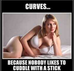 Curves Because Nobody Likes To Cuddle With A Stick