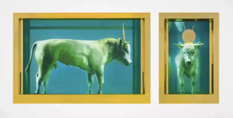 Damien Hirst The Golden Calf 2009