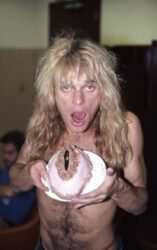 David Lee Roth vagina cake