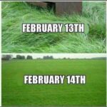 February 13th vs February 14th - Bush Got Shaved