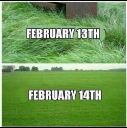 February 13th vs February 14th - Bush Got Shaved