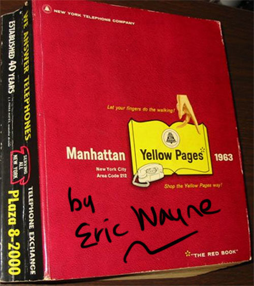 The Great American Novel by Eric Wayne