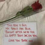 This rose is red, my balls are blue, tonight after we're fed I'll empty them on you