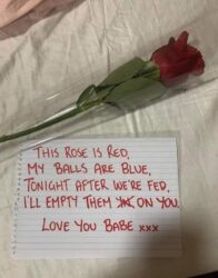 This rose is red, my balls are blue, tonight after we're fed I'll empty them on you