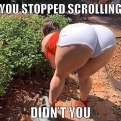 You Stopped Scrolling Didn't You - big booty ass
