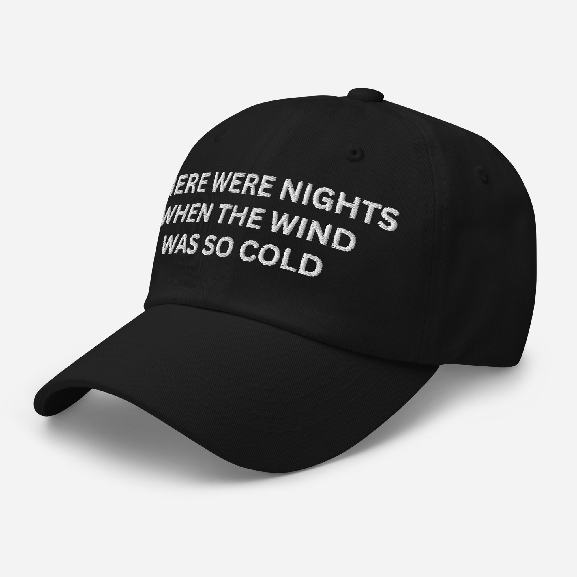 There Were Nights When The Wind Was So Cold Dad hat - Image 2
