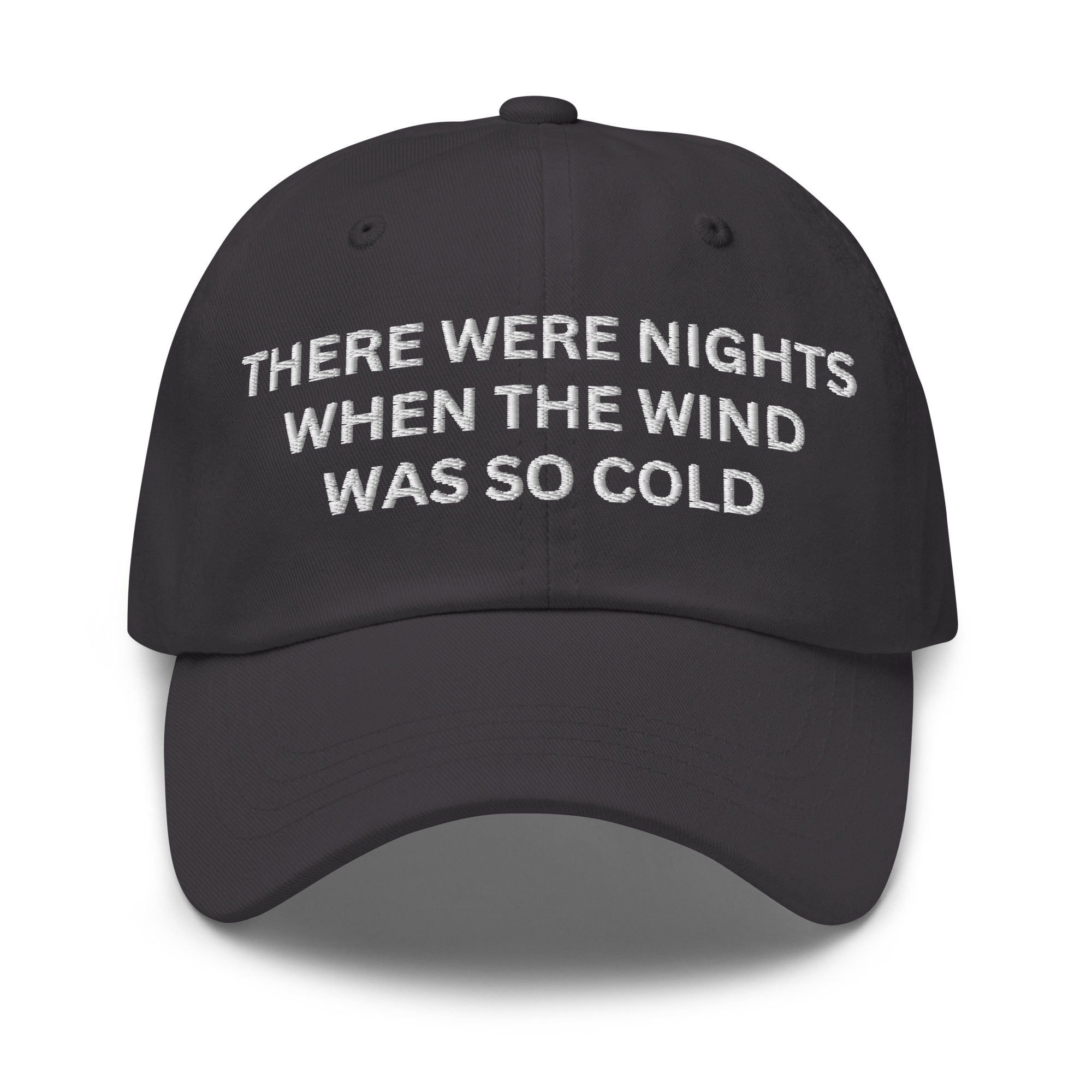 There Were Nights When The Wind Was So Cold Dad hat - Image 7