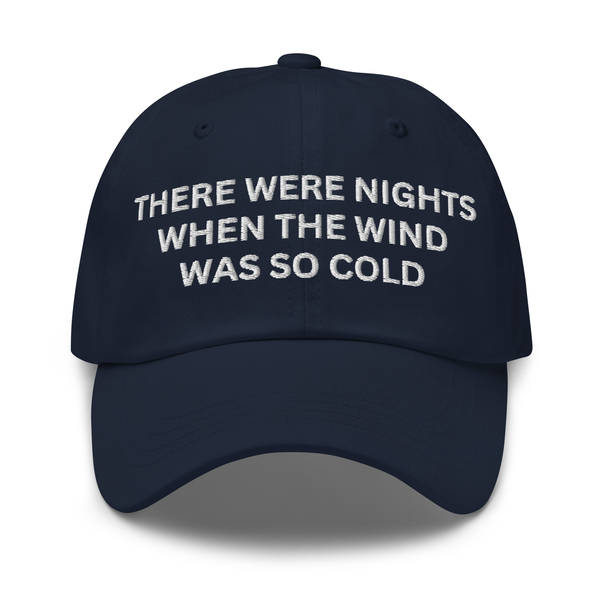 There Were Nights When The Wind Was So Cold Dad hat - Image 4
