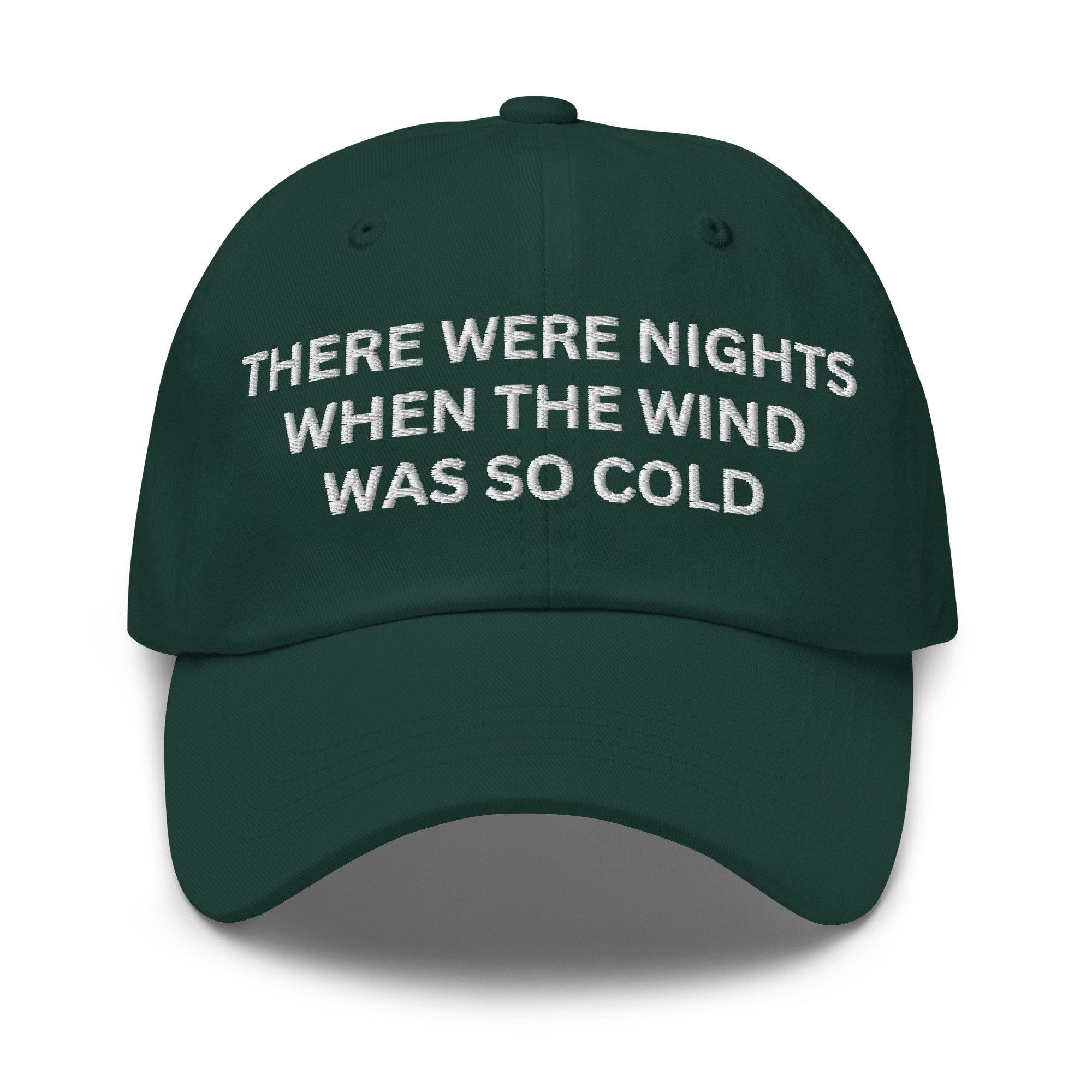 There Were Nights When The Wind Was So Cold Dad hat - Image 6