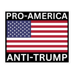 Pro-America Anti-Trump (USA Flag) Sticker