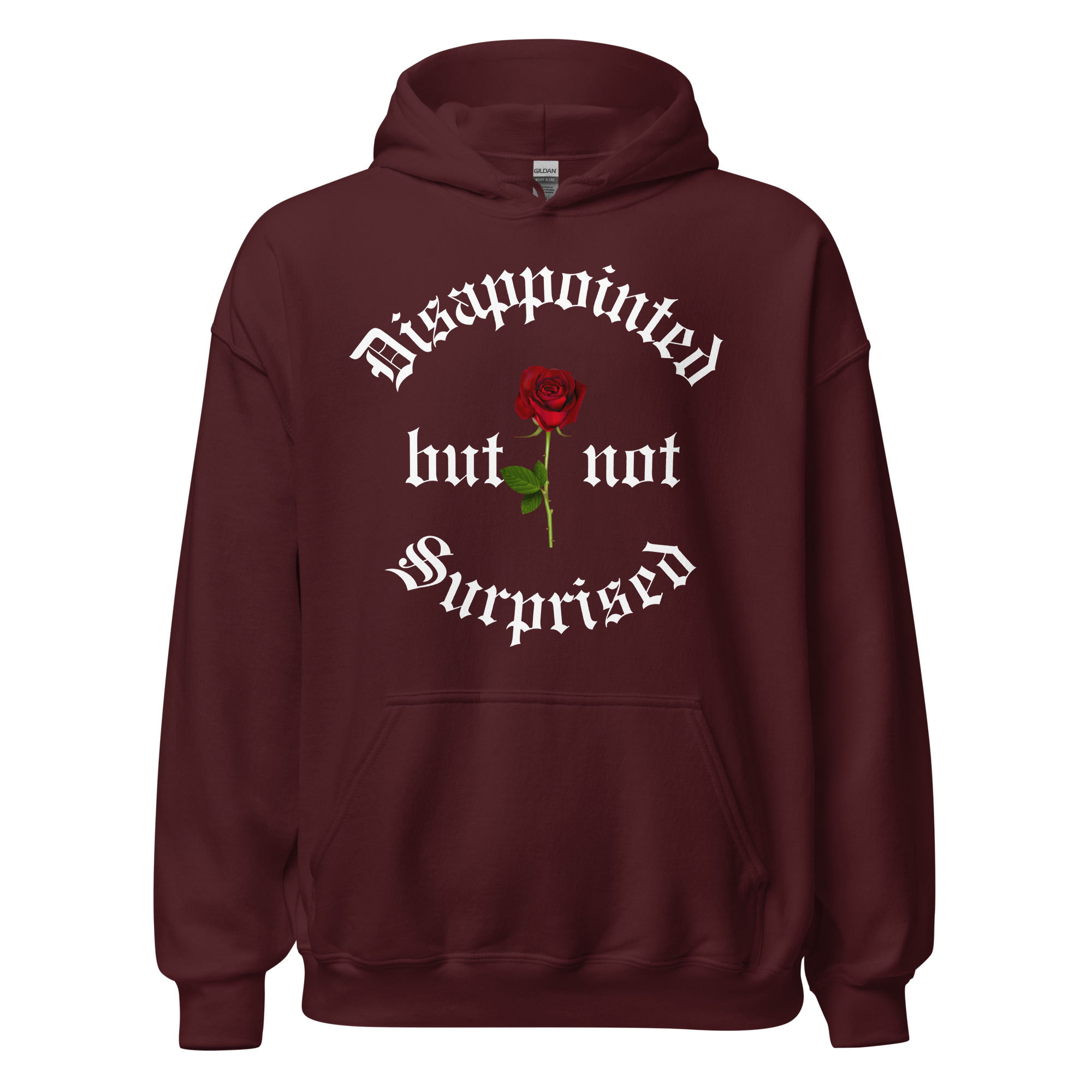 Disappointed But Not Surprised Hoodie - Image 4