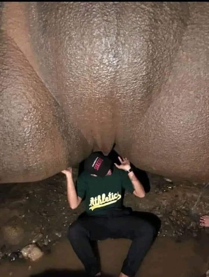 A Insider (man under a giant ass vagina meme)
