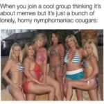 A bunch of lonely horny nymphomaniac cougars