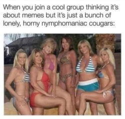 A bunch of lonely horny nymphomaniac cougars
