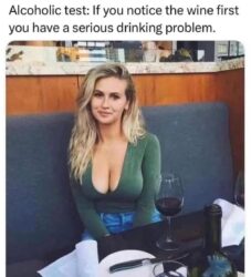 Alcoholic test - If you notice the wine first you have a serious drinking problem