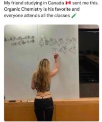 Everyone's favorite teacher