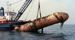 Giant Dildo Cock saved from the sea