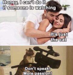 Honey I can't do it if someone is watching