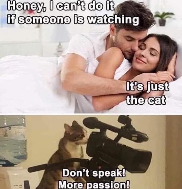 Honey I can't do it if someone is watching