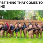 King Size Ho Train