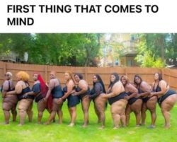 King Size Ho Train