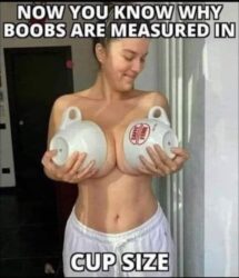 Now You Know Why Boobs Are Measured In CUP SIZE