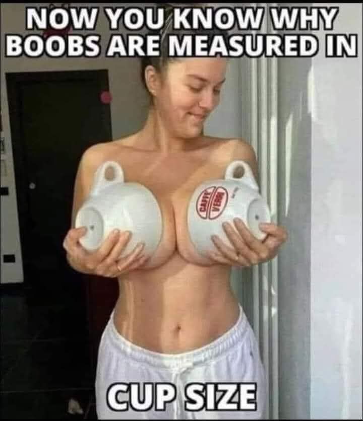 Now You Know Why Boobs Are Measured In CUP SIZE
