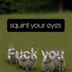 Squint Your Eyes - FUCK YOU