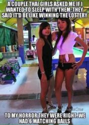 Thai tranny hookers meme