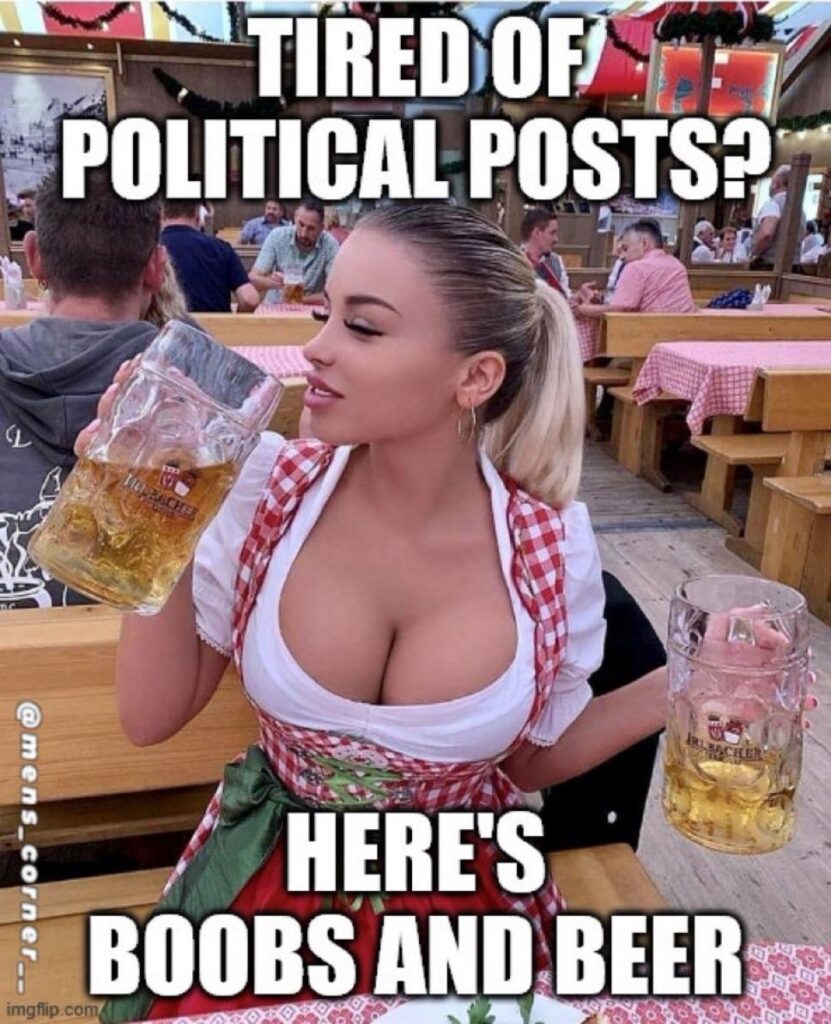Tired of Political Posts_Here's Boobs and Beer