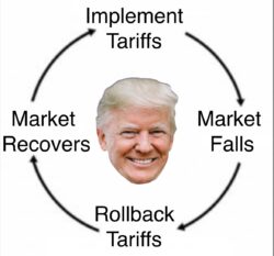 Trump's Tariffs