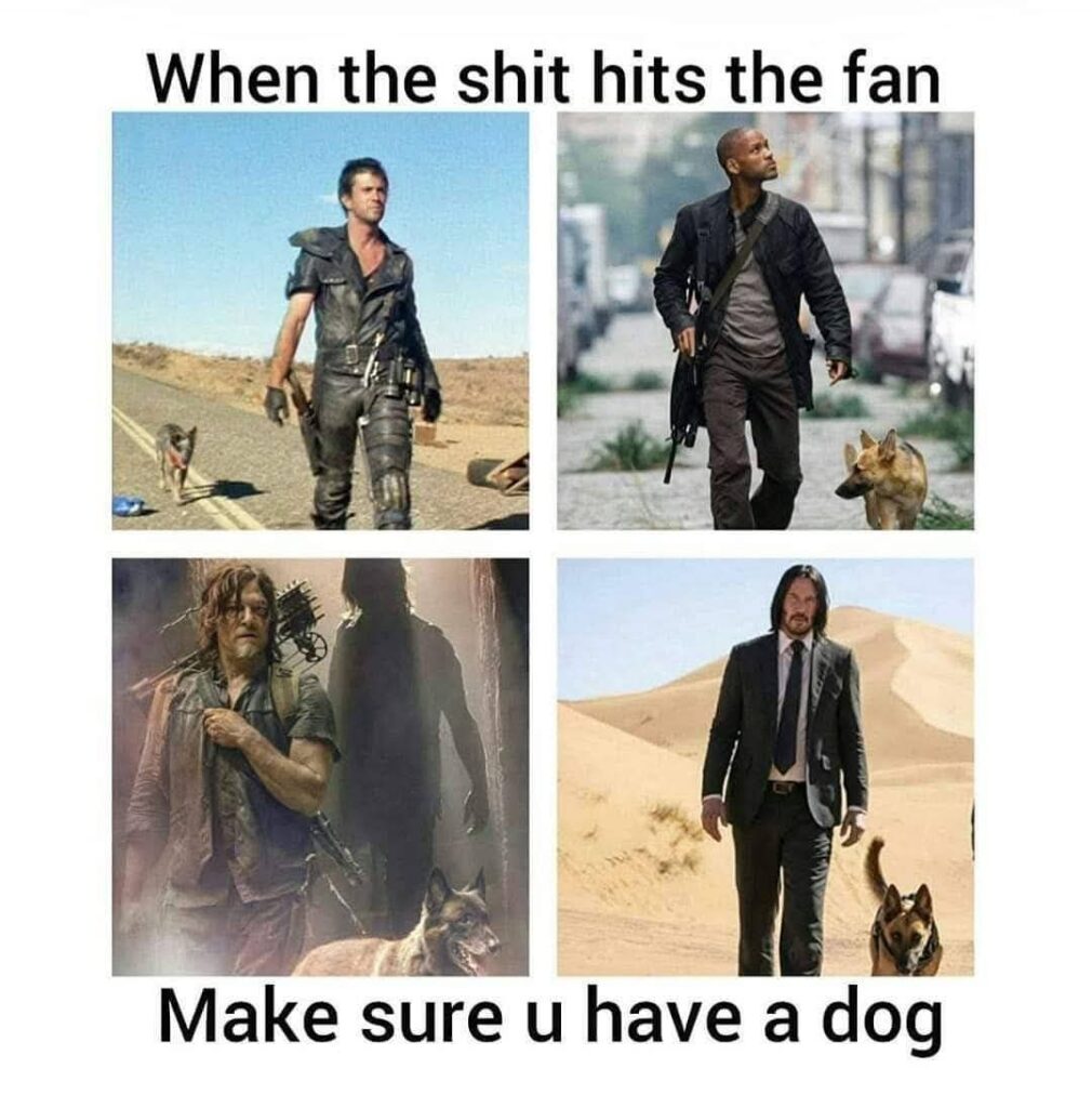When the shit hits the fan Make sure u have a dog