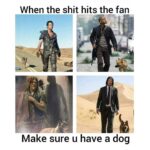 When the shit hits the fan Make sure u have a dog
