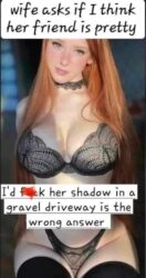 Wife asks if I think her friend is pretty