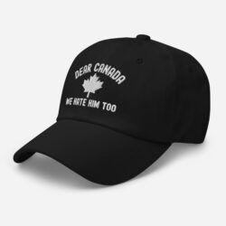 Alternative view of Dear Canada We Hate Him Too hat (Embroidered)