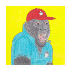 HORNY APE SOCIAL CLUB™ | NFT (No Fucks Takens) Collectible Art Magnet