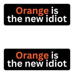 Orange Is The New Idiot stickers