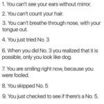 10 FUN FACTS