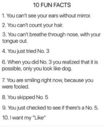 10 FUN FACTS