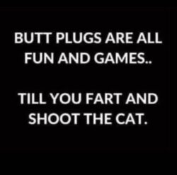 Butt Plugs are all fun and games till you fart and shoot the cat