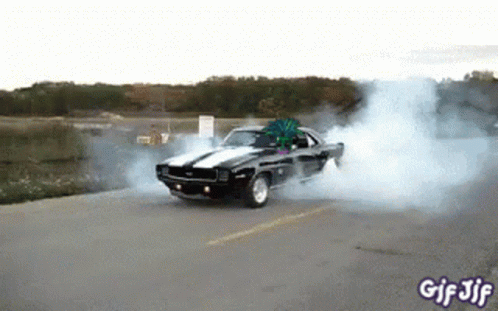 Fern Daddy Car starting racing GIF