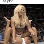 I watch wrestling for the plot - The plot Torrie Wilson bra and panties match